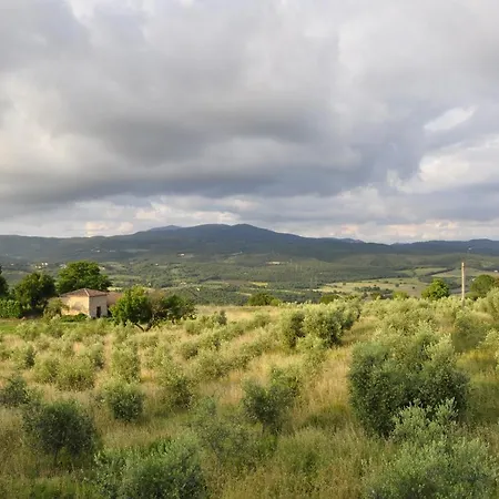 Rustic Tuscan Style Massa Marittima