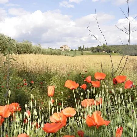 Rustic Tuscan Style Massa Marittima