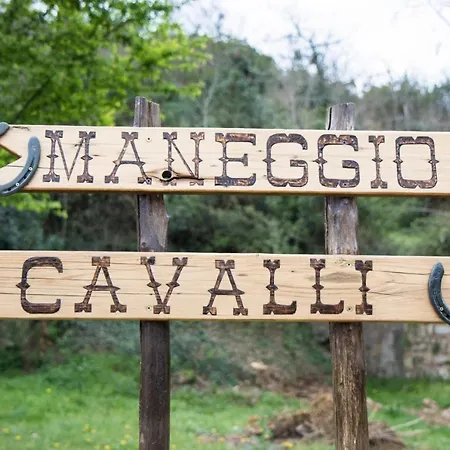 Rustic Tuscan Style Lägenhet Massa Marittima